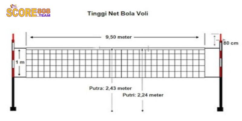 Standar Ukuran Bola Voli: Panduan Lengkap untuk Berbagai Tingkatan Pertandingan